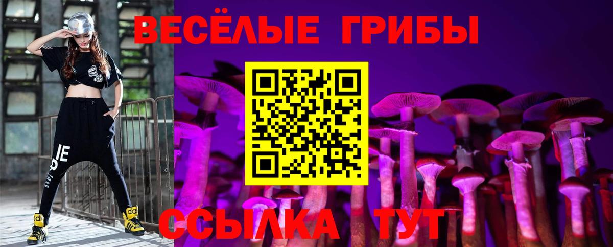 Пушкино  Галлюциногенные грибы ЛСД  Вход с VPN 